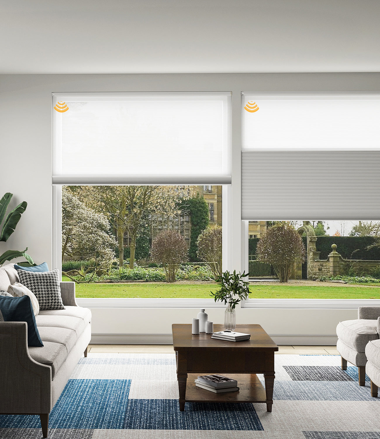 natural light and stylish shades