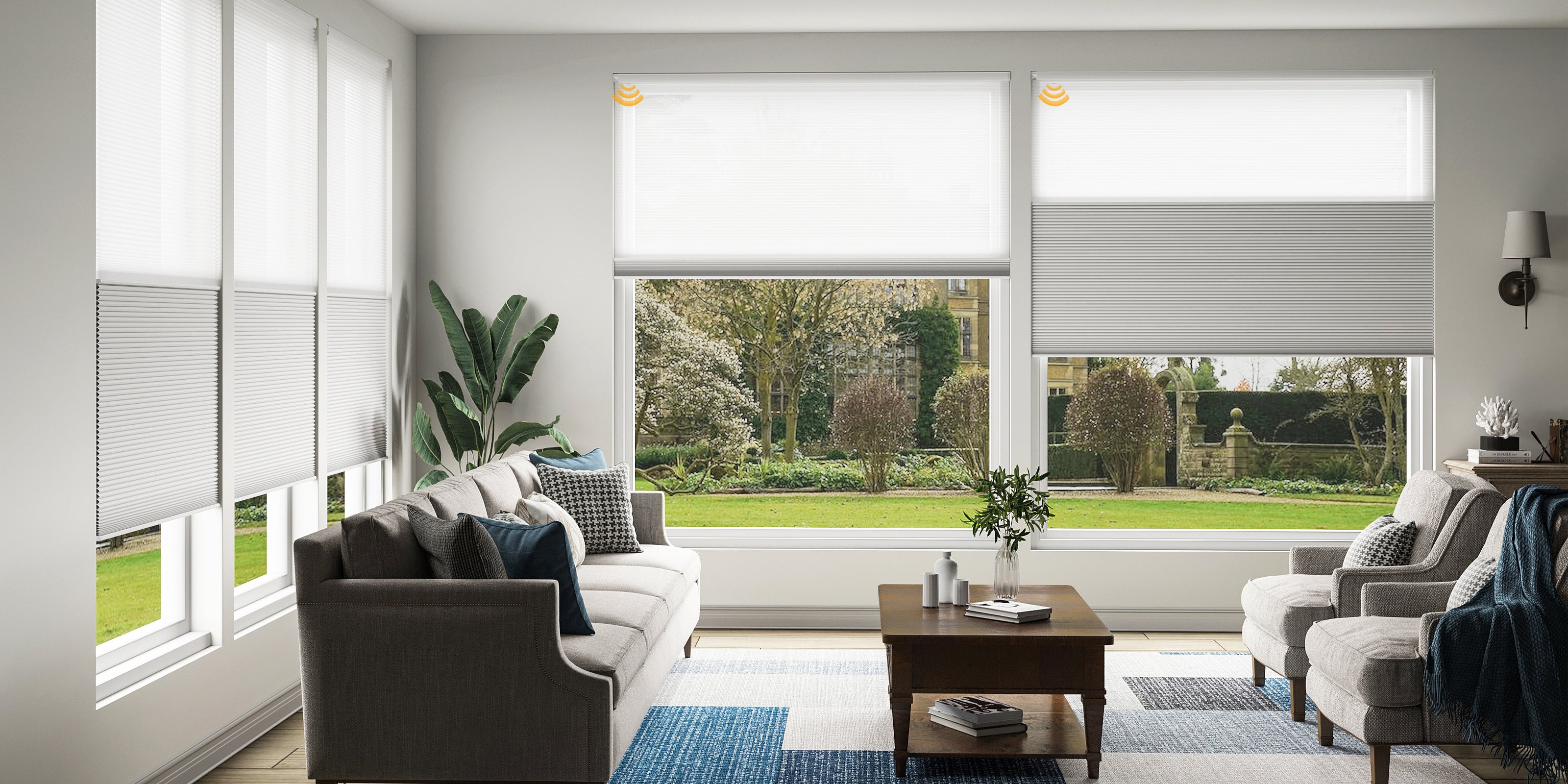 natural light and stylish shades