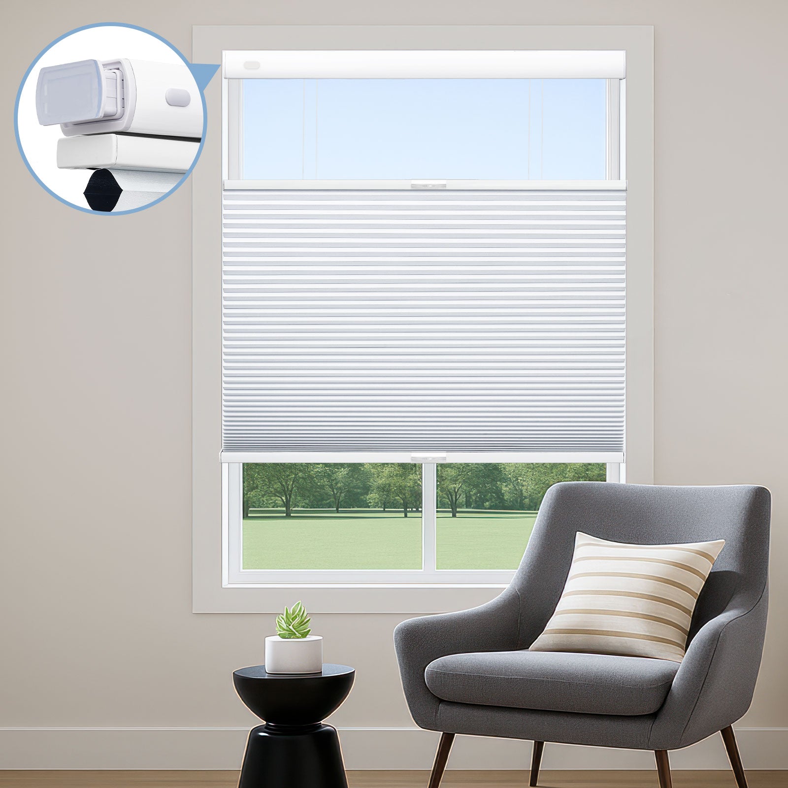 White-B01-8291