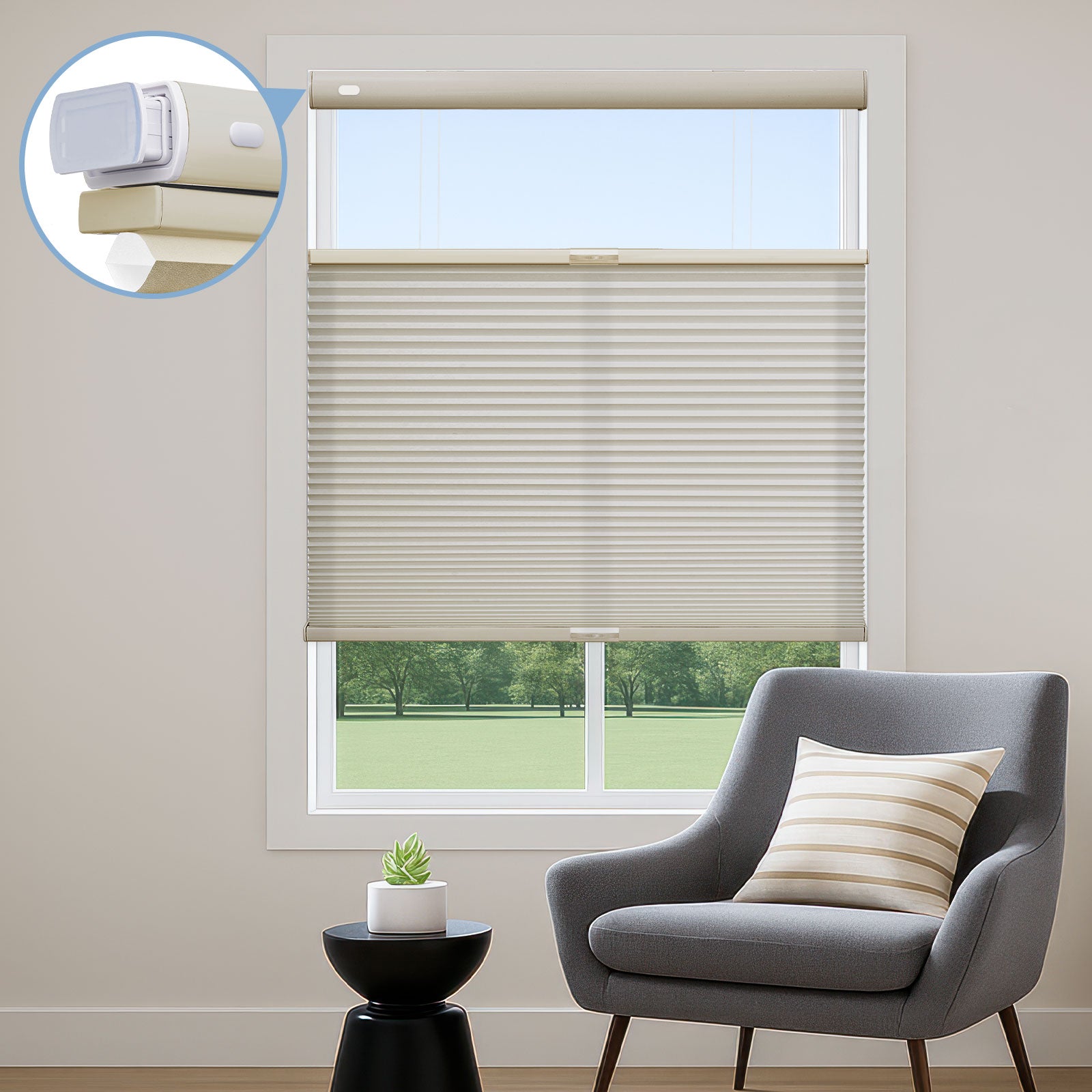 LightBrown-05-8291