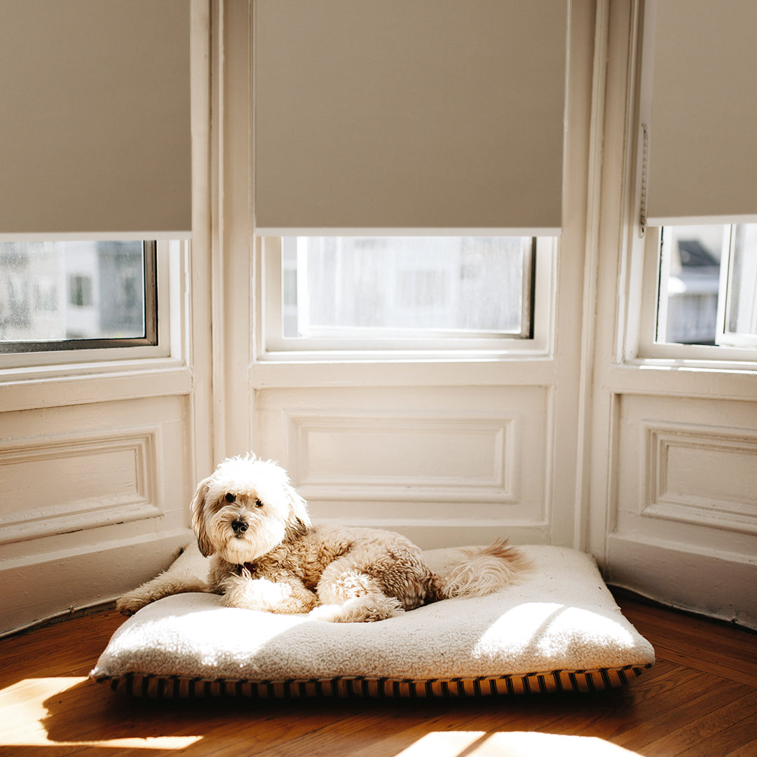 Pet Proof Blinds: Spring Loaded Window Shades