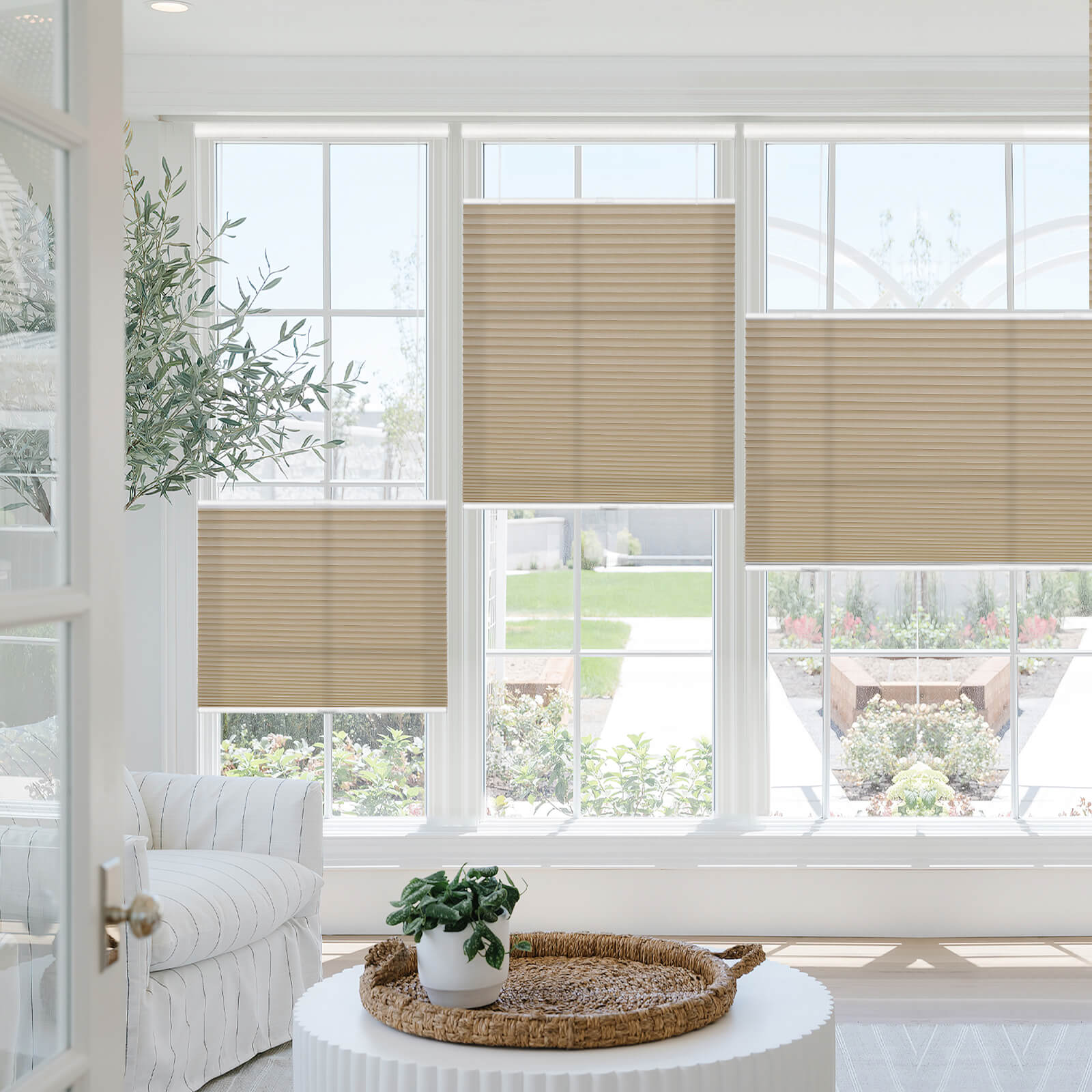 Keego Top Down Bottom Up Shades Cordless 25HSL0076794