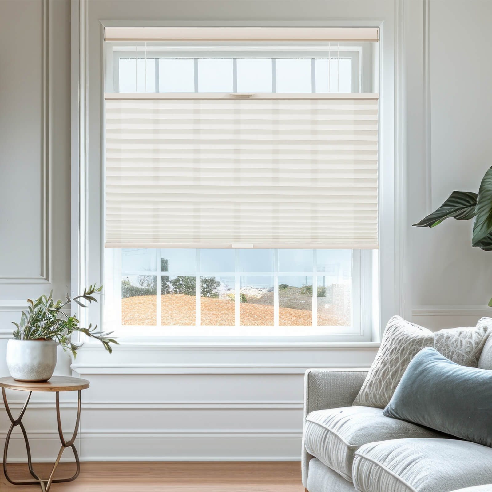 Beige0110-1843