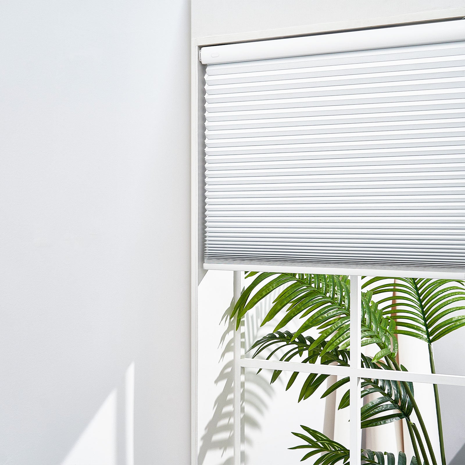 White-b0101-3613