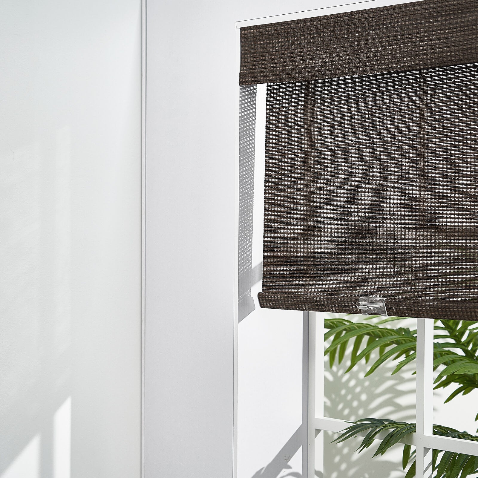 Brown-1713-2687
