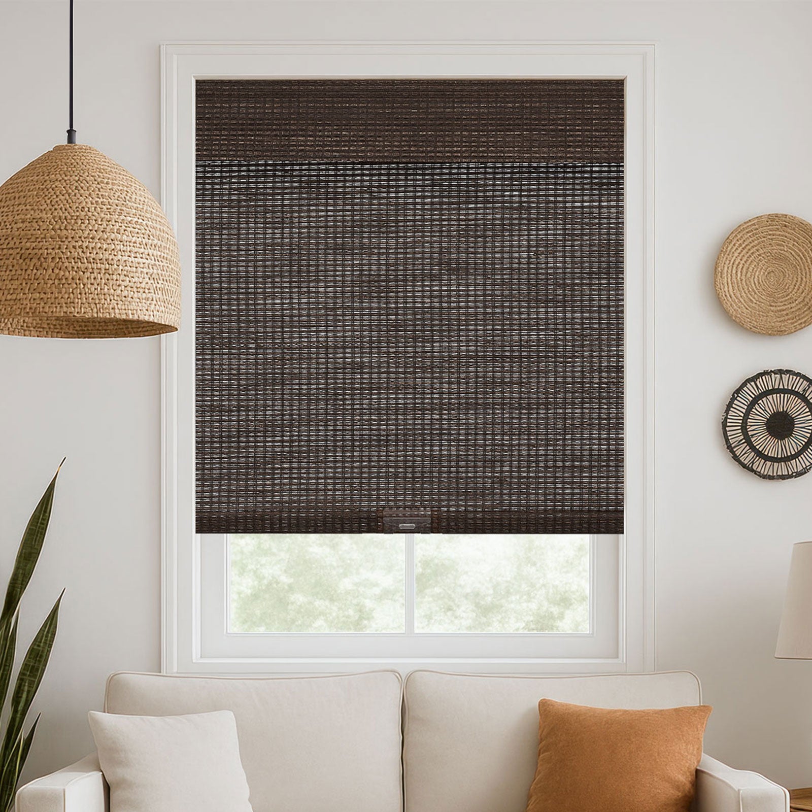 Brown-1713-2687