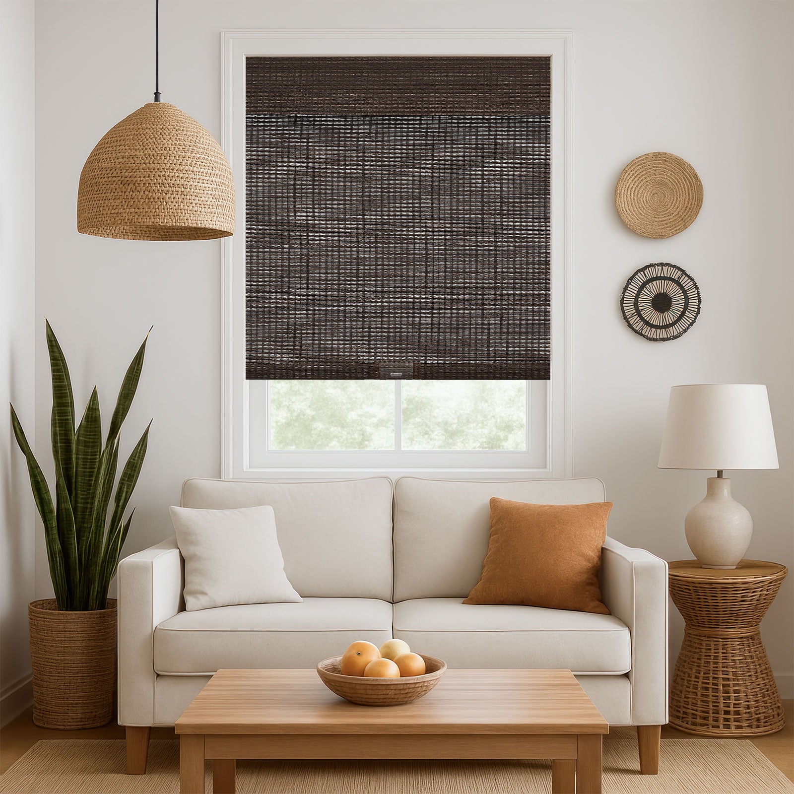 Brown-1713-2687